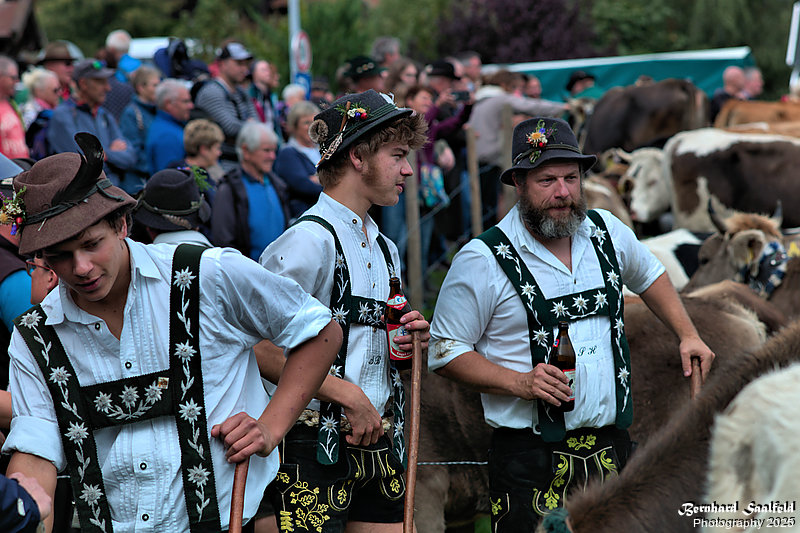 Bernhard Saalfeld - Viehscheid (5v9)